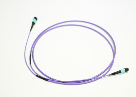LSZH MTP OFNR 10 Foot Optical Cable 12 Cores Multimode OM3 Aqua