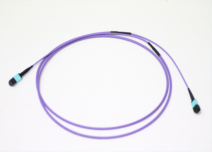 24 Cores Fiber Optic MPO MTP Cable Multimode OM4 OFNP Violet 100ft Length